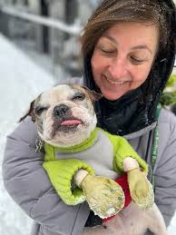 Animal Lighthouse Rescue