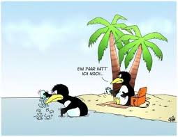 Uli Stein Cartoons Fotografie Cartoons Ulistein De Uli Stein Bilder Steine Humor Bilder