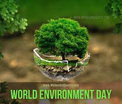 Birds are indicators of the environment. Best Motivational World Environment Day Slogans And Quotes
