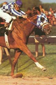 Triple Crown Winner Secretariat Secretariat Horse Thoroughbred Horse Racing Derby Horse