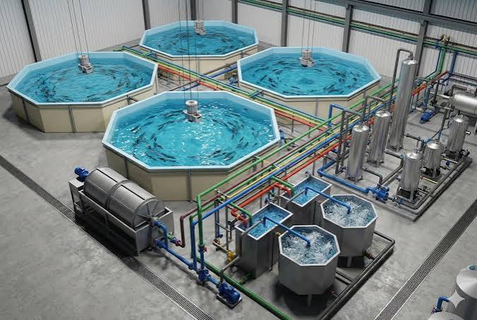 Technical Guide to Recirculating Aquaculture Systems (RAS): Technology, Design, and Profitability - AquaHoy