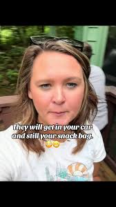 Bear in Gatlinburg 2024 Sniffing Shopping Bags