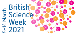 Jun 11, 2021 · now, therefore, i, joseph r. Sandhill View Academy National Science Week 2021