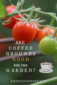 Are Coffee Grounds Good For The Garden Empress Of Dirt Coffee Grounds Garden Coffee Grounds Uses For Coffee Grounds