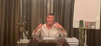 Peker'in de tutuklu sanık olduğu ergenekon davaları sorgulaması esnasında peker, astronomik mal varlığı ile dikkat çekmiştir. Turkey S Soylu Could Have Been President Had He Not Wronged Him Says Mobster Ahval