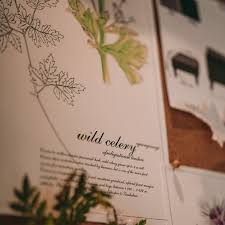 Image result for Afroligusticum