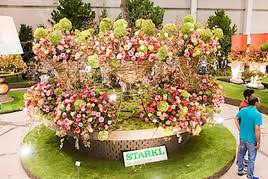 Wie jedes jahr, lädt die musikschule tulln wieder zu einem abend mit vielen mitwirkenden. Int Gartenbaumesse Tulln Mit Europas Grosster Blumenschau Nur Von 30 August Bis 3 September 2018 Messe Tulln Gmbh 27 08 2018