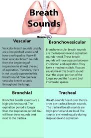Nursing Health Assessment Of The Respiratory System Nursing School Notes Nursing School Tips Respiratory Care