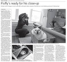 Maybe you would like to learn more about one of these? The Globe And Mail Pet Photography Marcia Leeder Photography