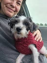 We're so happy to share this Oscar...