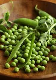 Ten Vegetables You Can Grow In Shade Read More Homesteadingsurvi Idee Legume Fruits Et Legumes Nourriture