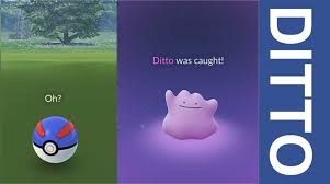 Best strategies to catch ditto in pokemon go. Easiest And Fastest Way How To Find Ditto Pokemon Go 2021