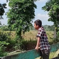 Tuliskan rangkaian gerakan berguling​ - Brainly.co.id