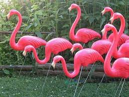 Our botanical gardens is a showcase for more than 3,000 species of rare and exotic, tropical, subtropical, and native plants. 31 Hohe 10 Paare Los Kunststoff Helle Rosa Flamingo Garten Hof Und Rasen Kunst Ornament Hochzeit Zeremonie Dekoration Pink Flamingo Garden Flamingo Gardenpink Flamingo Aliexpress