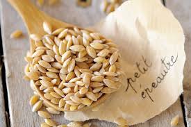 Petit Epeautre Et Gluten