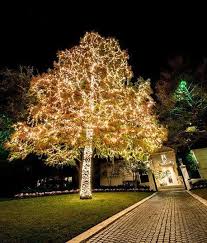 Call our lighting experts now. Led Landscape Lighting Dallas Foprt Worth Southern Lights