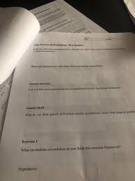 Clay writing rubric for kindergarten. Solved The Forces Of Evolution Worksheet What Are Some Wa Chegg Com