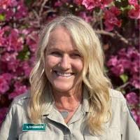 Tom Starnes Email & Phone Number