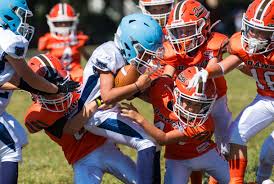 9U Arlington Dawgs Defense Bites Wolfpack in 14-6 Homecoming Win