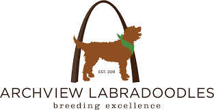 Jul 15, 2021 · archview labradoodles, llc is a small family australian labradoodle breeder, located near edwardsville, il (20 minutes from st. Top Australian Labradoodle Breeder Illinois Missouri Arch View