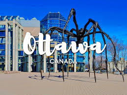 The ottawa ankle rule is useful for ruling out fracture (high sensitivity), but poor for ruling in fractures (many false positives). One Day In Ottawa Canada Guide Top Things To Do