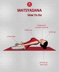 Check spelling or type a new query. How To Do Matsyasana Fish Pose And Its Benefits