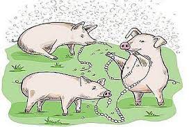 What does casting our pearls before swine mean? Q A Pleading The Blood Armageddon And Casting Pearls Before Swine Christian Research Institute