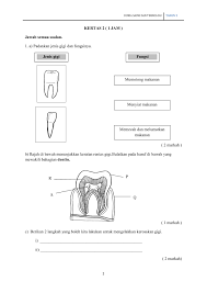 Untuk mengoyak makanan untuk memotong makanan untuk menghancurkan makanan namakan keratan rentas gigi berikut. Ulangkaji Set 2 Flip Ebook Pages 1 6 Anyflip Anyflip