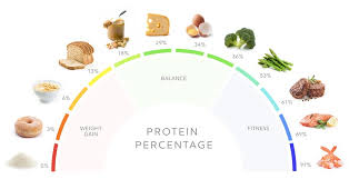 Some food choices in the protein foods group are high in saturated fat. High Protein Diet What It Is And How To Do It Diet Doctor