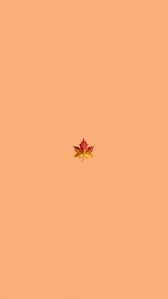 Gallery Cute Wallpapers Lockscreens Vsco