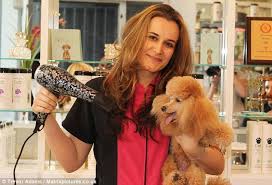 All rooms are indoor and heated and cooled by the top of the line heating and cooling system. The Best Dog Escapes These Hotels Offer Pet Spa Treatments Dedicated Chefs And Even A Photo Shoot Daily Mail Online