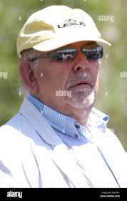 Robin leech hi-res stock photography and images