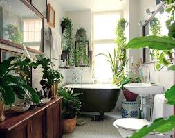 The Best Bathroom Plants For Your Interior Best Bathroom Plants Amazing Bathrooms Home
