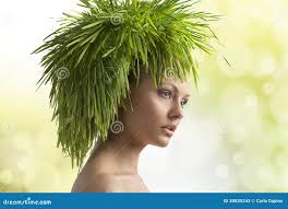 7,611 Young Spring Grass Fresh Natural Green Grass Close Up Stock Photos