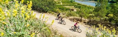 One major difference in animal crossing: Xpdtn3 Family Bikepacking 3t Blog