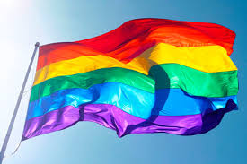 Resultado de imagen para homosexualidad