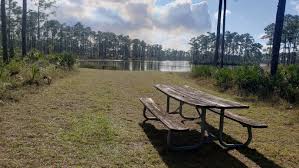Maybe you would like to learn more about one of these? Long Pine Key Campground The Dyrt