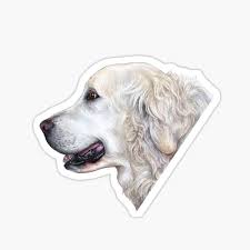 Southern california golden retriever rescue. White Golden Retriever Gifts Merchandise Redbubble