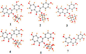 Image result for Manniophyton