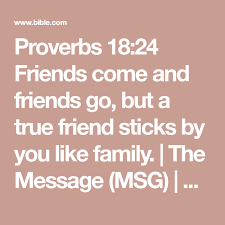 The message bible (msg) is a free and offline bible. Proverbs 18 24 Friends Come And Friends Go But A True Friend Sticks By You Like Family The Message Msg Download The Bible True Friends Bible Apps Bible