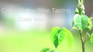 Cornwall and devon tv have been invited again by cornish and devonshire cottage holidays on another one of their guest meet ups. Tours Camel Valley