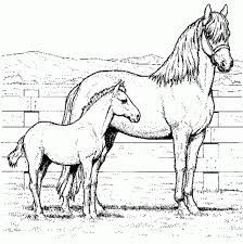 7 699 views 1 402 prints. Realistic Horse Coloring Pages Resume Format Download Pdf Coloring Home