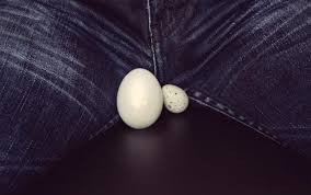 أن تكون خصية أكبر حجما أو أكثر ارتفاعا عن الأخرى هل هو أمر طبيعي أم مرضي منصة شفاء