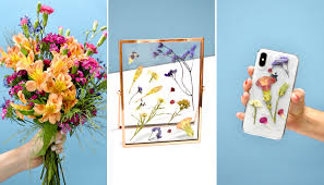Pressed flowers for sale uk. How To Press Flowers Properly