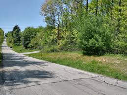 Mackenzie, Author at CRWP