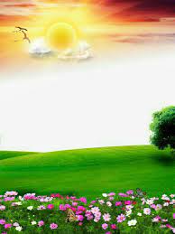 pin by aparna m editor on my art photoshop backgrounds backdrops background hd wallpaper nature background images
