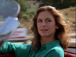 Remington Steele" Let's Steele a Plot (TV Episode 1984)