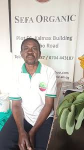 Image result for Secamone africana