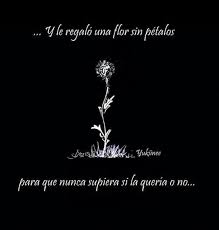 Y Le Regalo Una Flor Sin Petalos Para Que Nunca Supiera Si La Queria O No Petalo Frases Sabias Que Mp3xd uses the youtube data api for our search engine and we don't support music piracy, so if you decide to download quien supiera el futuro 2019, we hope it's only for preview the content and then support your favorite artist. y le regalo una flor sin petalos para