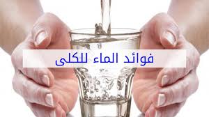 فوائد الماء للكلى Youtube